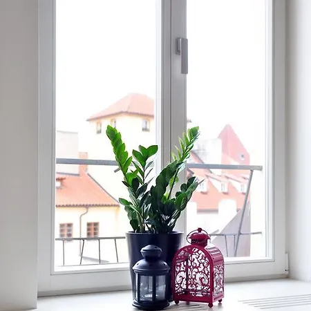 Apartmán Boris' Charles Bridge