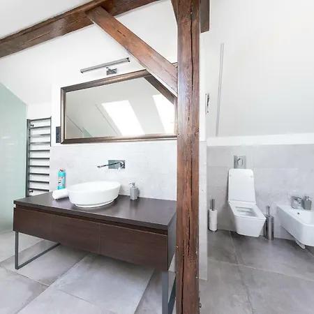 Apartament Boris' Charles Bridge *